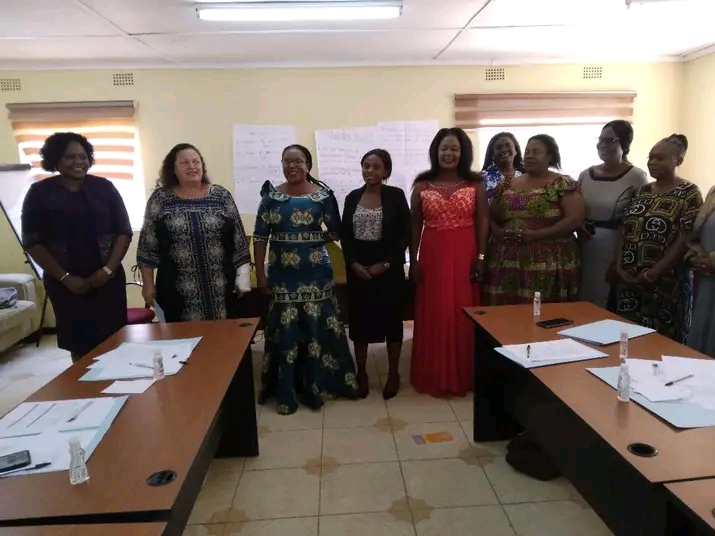 Zambian women standing in a row in a meeting room